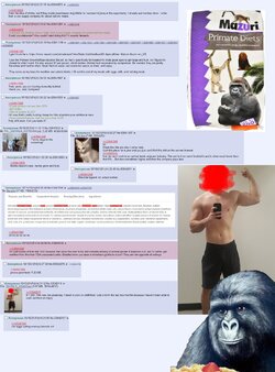 5aa89vij1qt71.jpg