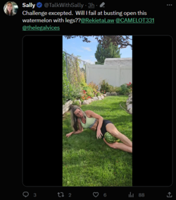 rip-watermelon.png