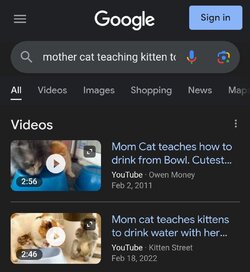 Screenshot_20230913_125729_Chrome.jpg