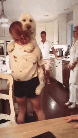 chrissy-costanza-against-the-current.gif