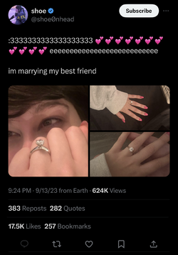 Shoe getting married.png