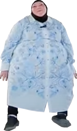 chantalmao.png