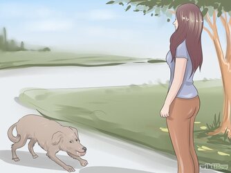 629px-Handle-a-Dog-Attack-Step-2-Version-2.jpg