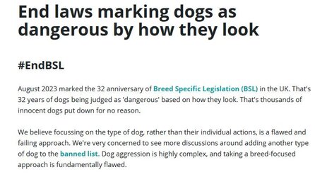 BSL.JPG