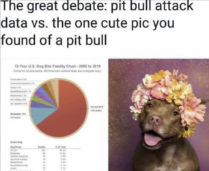 1694812449111.png