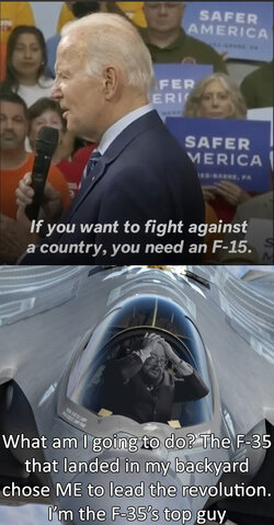 F35 top guy.jpg