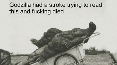 cant read your shit.gif