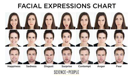 778260_Microexpressions_072120-1024x597 (1).jpg