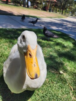20230706_133411.jpg