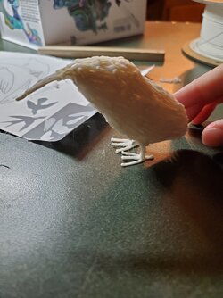 20230919_184928.jpg