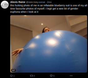 blueberry-3.png
