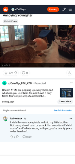 Crazy cat lady - Imgur(1).png
