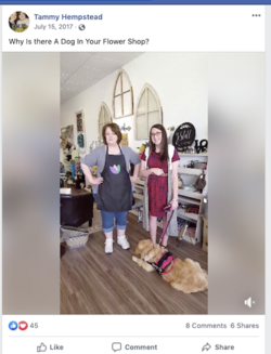Screenshot 2023-09-17 at 23.12.54.png