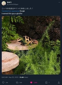 1695272501512.png