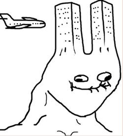 2f1.jpg