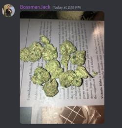 bossweed2.png