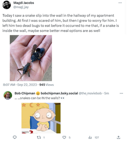 snake.png