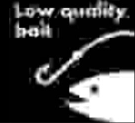 Screenshot_10.jpg