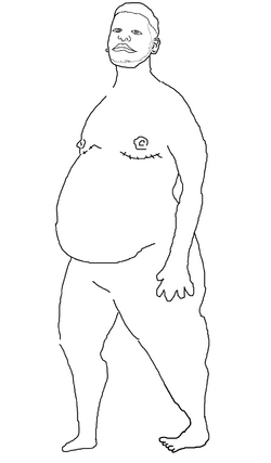 seahorse dad anatomy.png