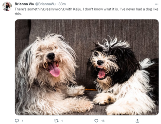 dogs.png