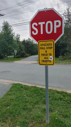 1695482040169.png