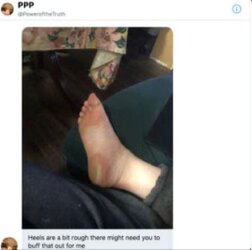 IMG_3619.jpeg