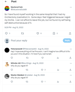 Castration-Regrets.png