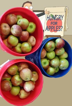 apples.jpg apples.jpg