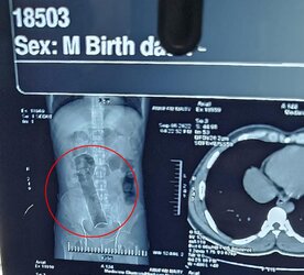 man-surgery-deodorant-01.jpg