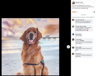 Screenshot 2023-09-26 at 15.02.19.png