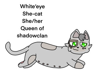 tumblr_44423883cfbfc527255d158c885ace0d_0cfef3f0_400.jpg