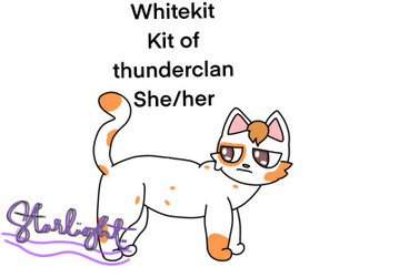 tumblr_ae43c4afb07e1eb938b82384d65f73be_04ff8134_400.jpg