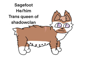 tumblr_ba4d50da207c59f3a0c0d4ad7577a10e_f4c2e429_400.jpg