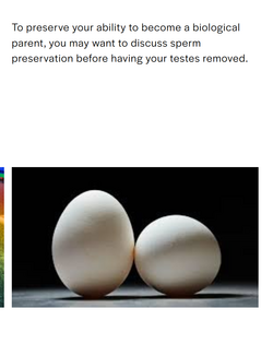seipp3.png