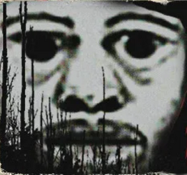 pdm.png