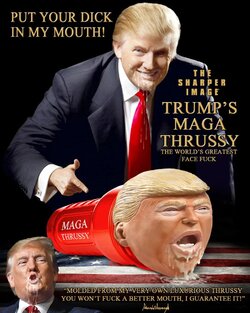 336257896_914813916232166_1226363316029865670_n.jpg