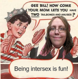 1695956605029.png