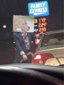oie_pIFLK2iLPf01.png