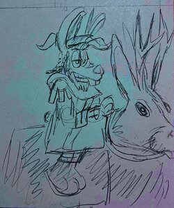 IMG_2791.jpeg