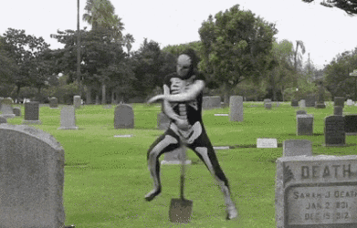 tenor.gif