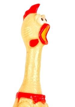 squawk.jpg