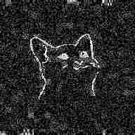 download.png