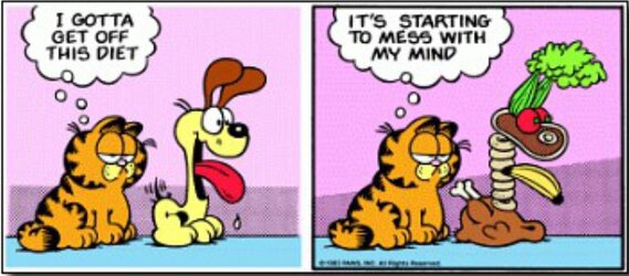 garfieldfood.JPG garfieldfood.JPG