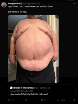 1696141219523.png
