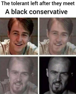 tolerant-left-after-they-meet-a.png
