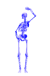 11.gif