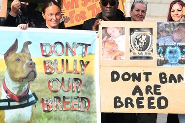 0_Xl-Bully-protesters-in-Liverpool.jpg