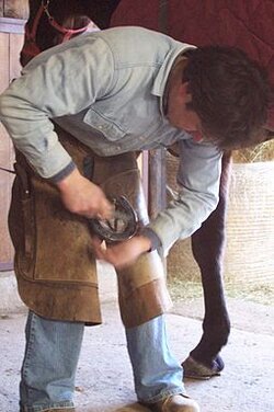 Italian_farrier_2006_2.jpg