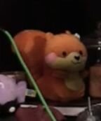 cutesquirel.jpg