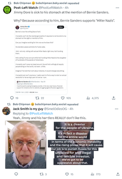 bernie.png